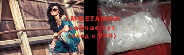 прущие грибы Михайлов