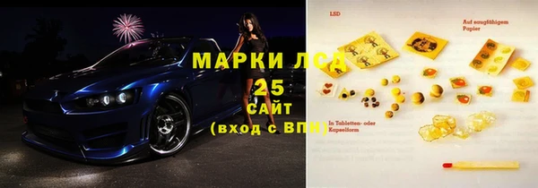 прущие грибы Михайлов