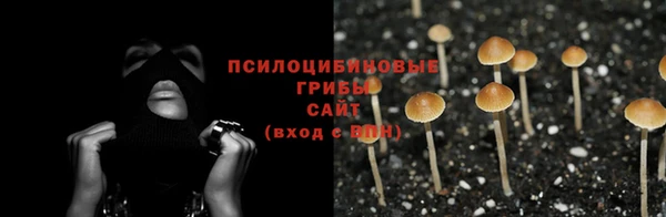 Альфа ПВП Дедовск