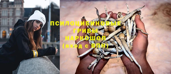 МДПВ Нефтекумск