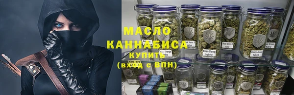 крисы Дегтярск