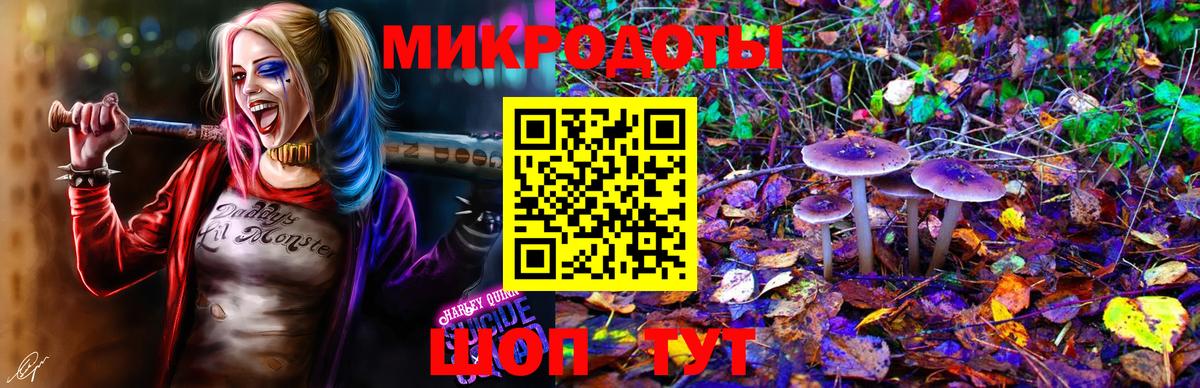 Кандалакша  Псилоцибиновые грибы мицелий  Галлюциногенные грибы Cubensis  купить закладку  Вход с VPN 