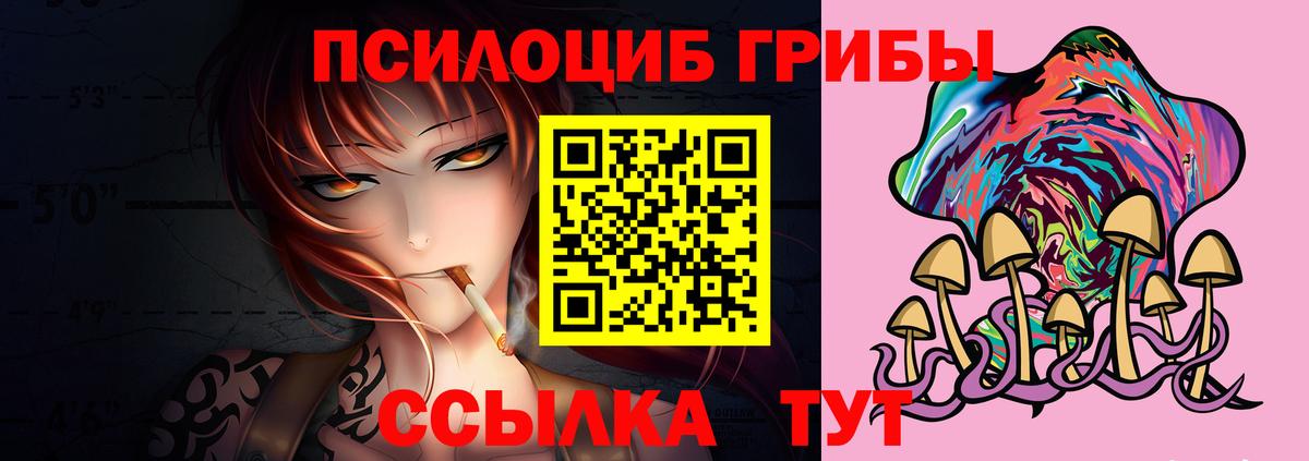 Галлюциногенные грибы Psilocybe Кандалакша