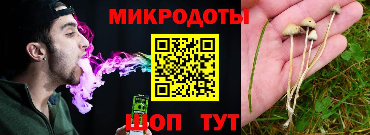 Галлюциногенные грибы Cubensis  Галлюциногенные грибы ЛСД  Кандалакша 